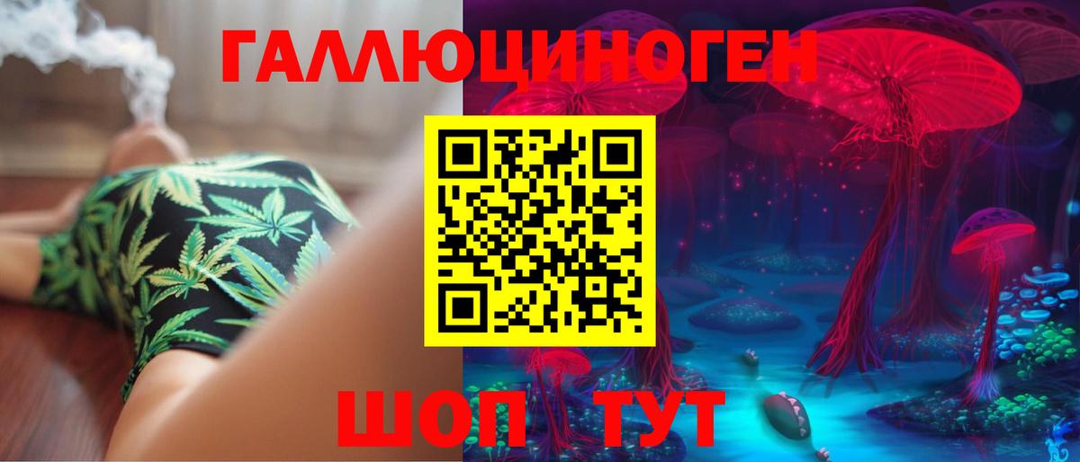 Галлюциногенные грибы Psilocybe  Вход с VPN  Великий Новгород 
