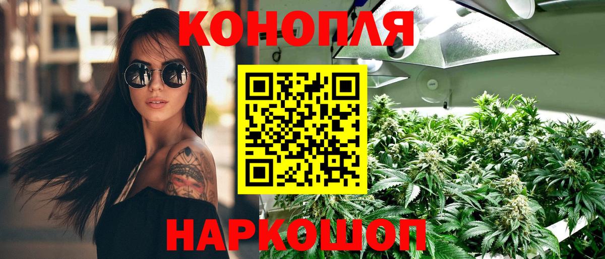 Бошки марихуана OG Kush  Бошки Шишки план  Великий Новгород  Вход с VPN 